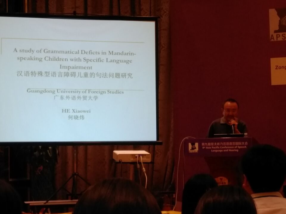 何晓炜教授做现场报告